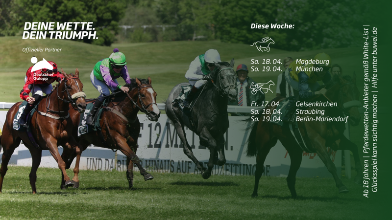 RaceBets